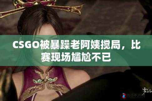 暴躁老阿姨 csgo 图片高清:一组超震撼的游戏角色图片展示