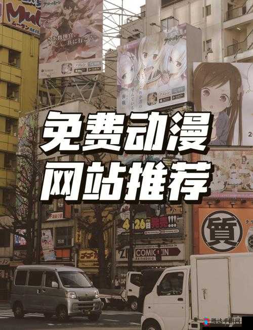 如何进入樱花动漫官方正版入口:详细步骤解析