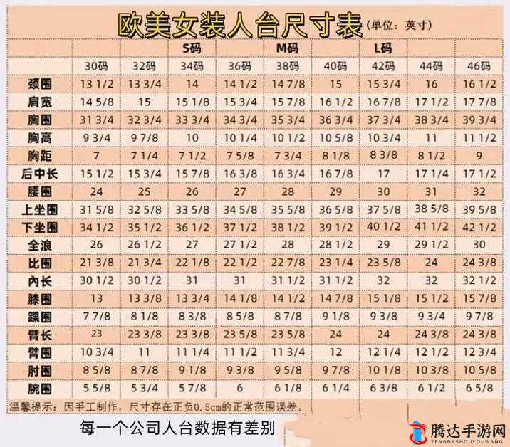 欧洲尺码日本尺码专线美国 t 服装尺码换算对比分析及选购指南
