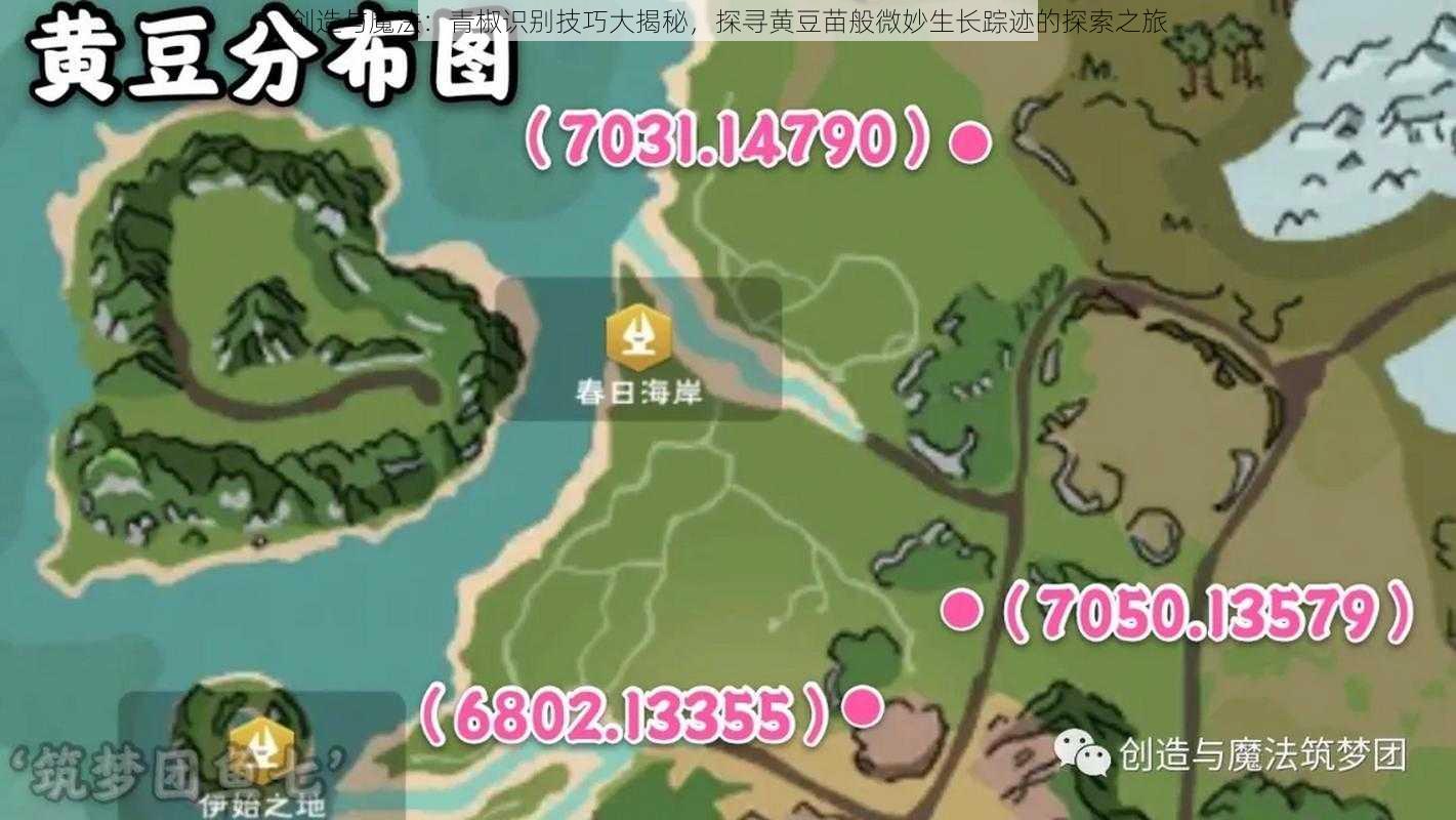 创造与魔法:青椒识别技巧大揭秘,探寻黄豆苗般微妙生长踪迹的探索之旅