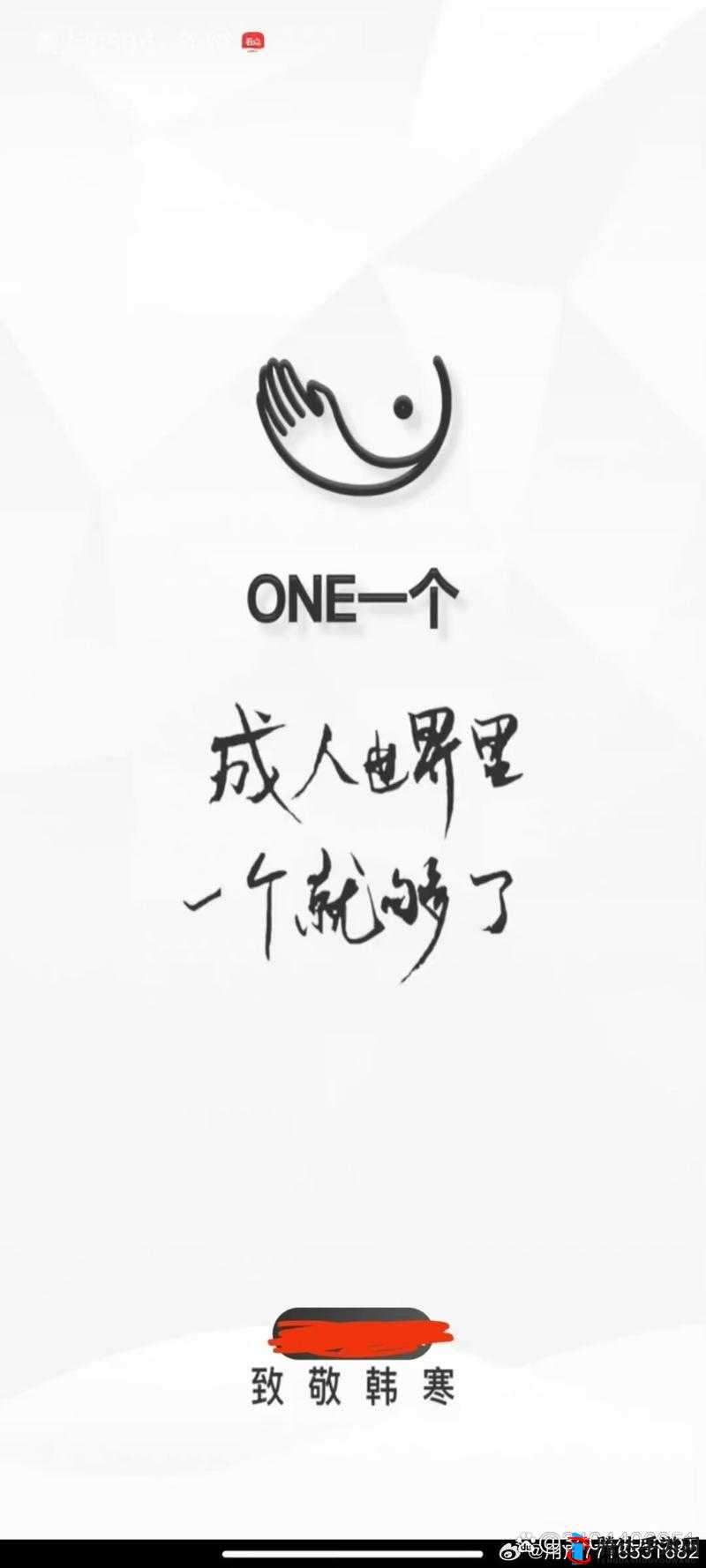 onesp.xyx 以独特视角致敬韩寒:别样情怀与思考