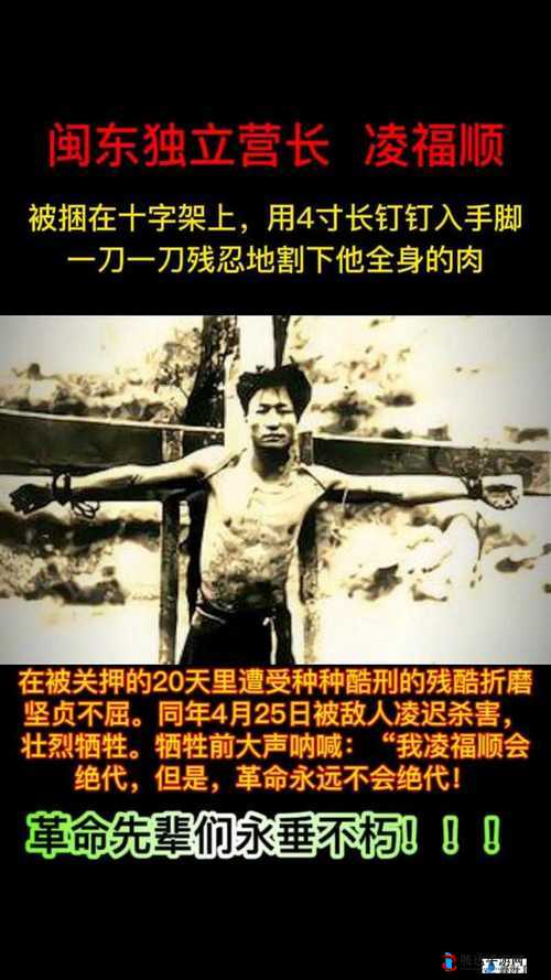 一杆大枪草一家三娘的欢乐家庭喜剧故事