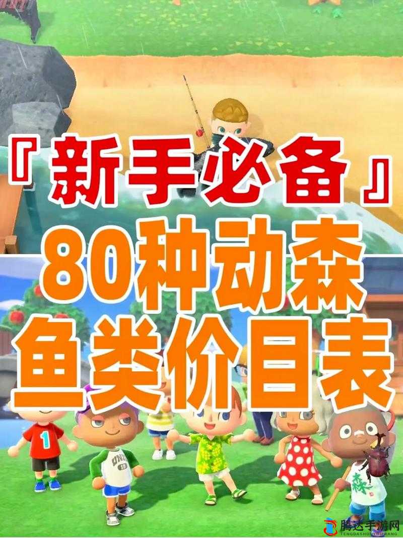 动物森友会，全面解析钓鱼技巧与实用心得，助你成为钓鱼高手
