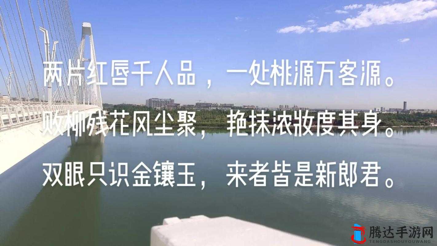 一片桃源千人品：探寻其背后的独特魅力与深远意义