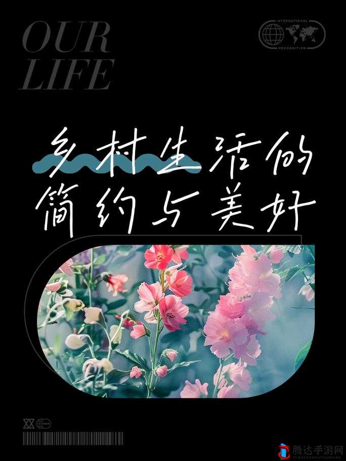天美麻花星空免费观看乡村版:探寻乡村生活的美好与质朴