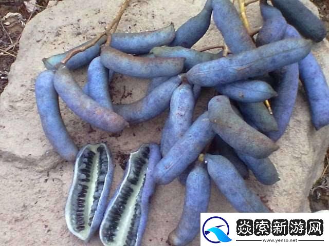 黑瓜吃料每日最新爆料155：揭秘娱乐圈的最新动态