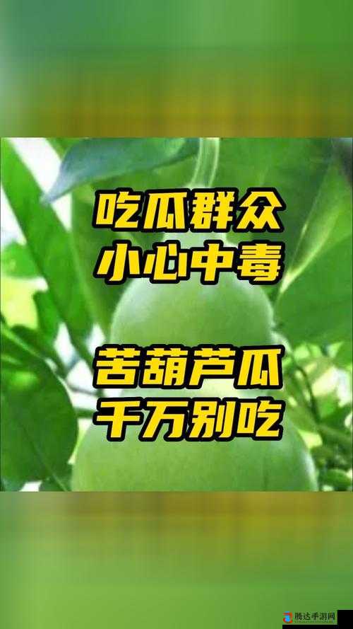 91吃瓜中心吃最新的瓜：带你了解各种有趣新鲜事
