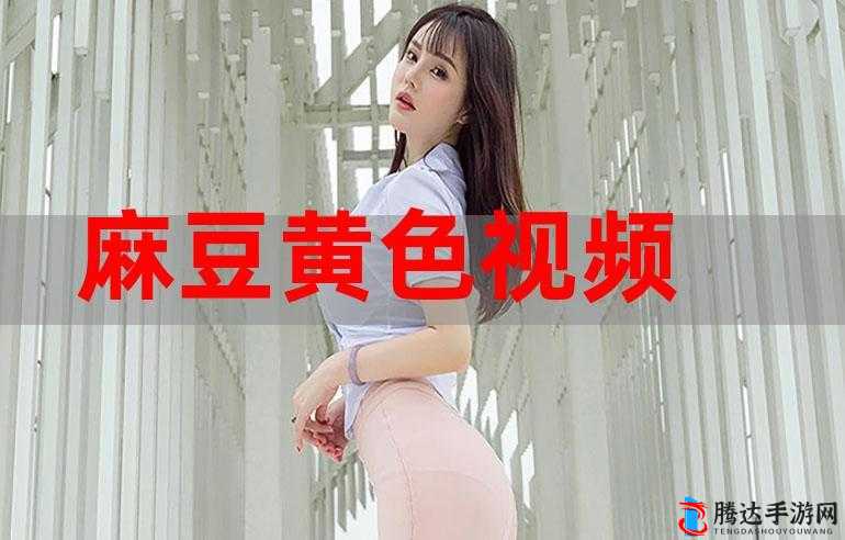 91 黄色视频网站入口:畅享刺激精彩视频世界