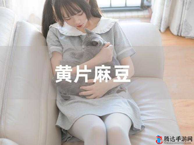 麻豆 1 区 2 产品乱码芒果有限公司:引领行业发展的先驱者