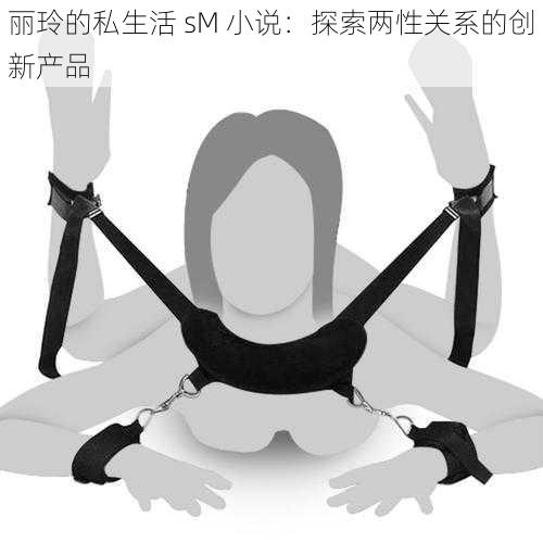 丽玲的私生活 sM 小说:探索两性关系的创新产品