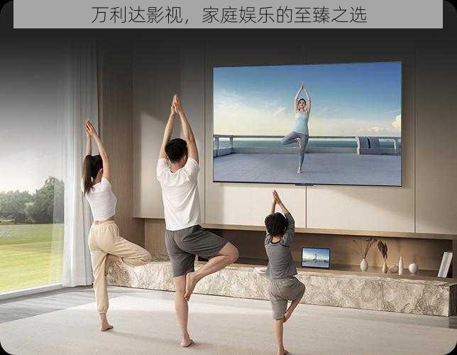 万利达影视,家庭娱乐的至臻之选
