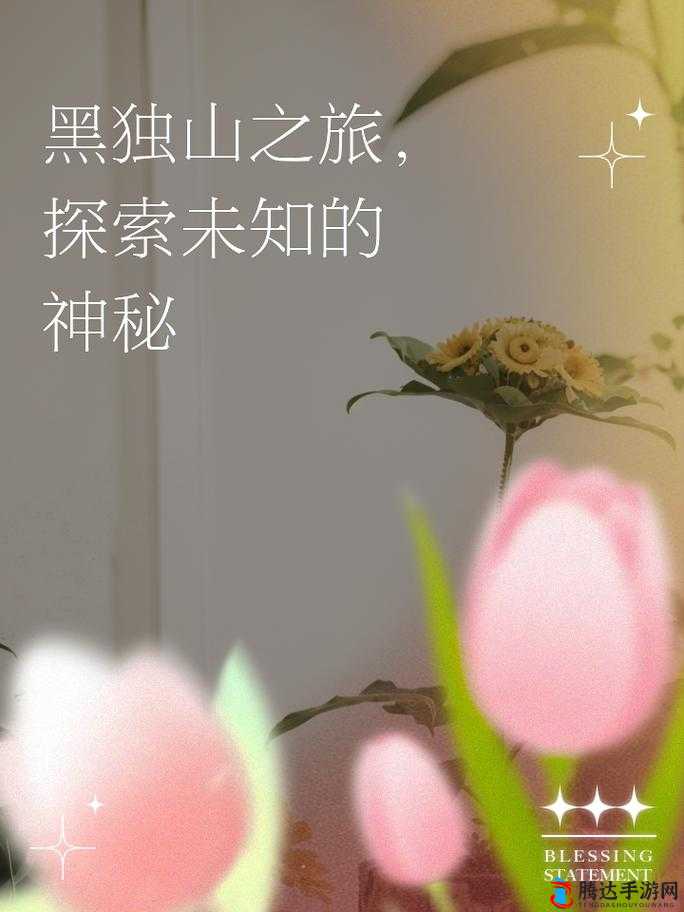 亚二新区乱码无人区二:神秘之地的未知探索之旅