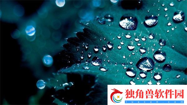 美国人与动物胶配方有几种：DIY手工材料的选择
