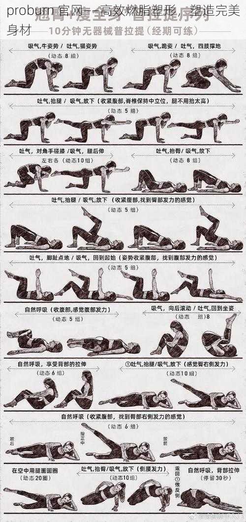 proburn 官网——高效燃脂塑形，塑造完美身材