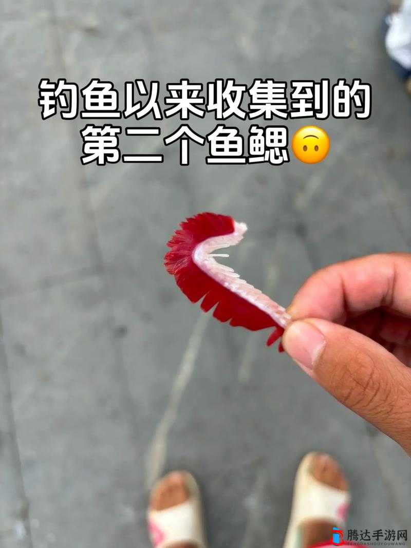 男子在水库中用手扣鱼鳃,扣鱼鳃:一种残忍的捕鱼方式