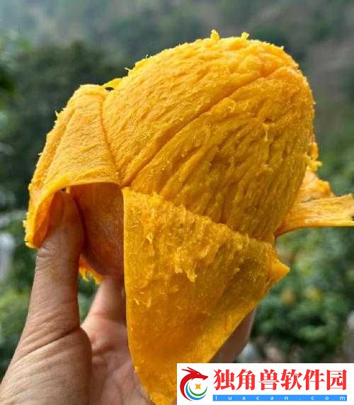 日产精品一线二线三线芒果的独特魅力