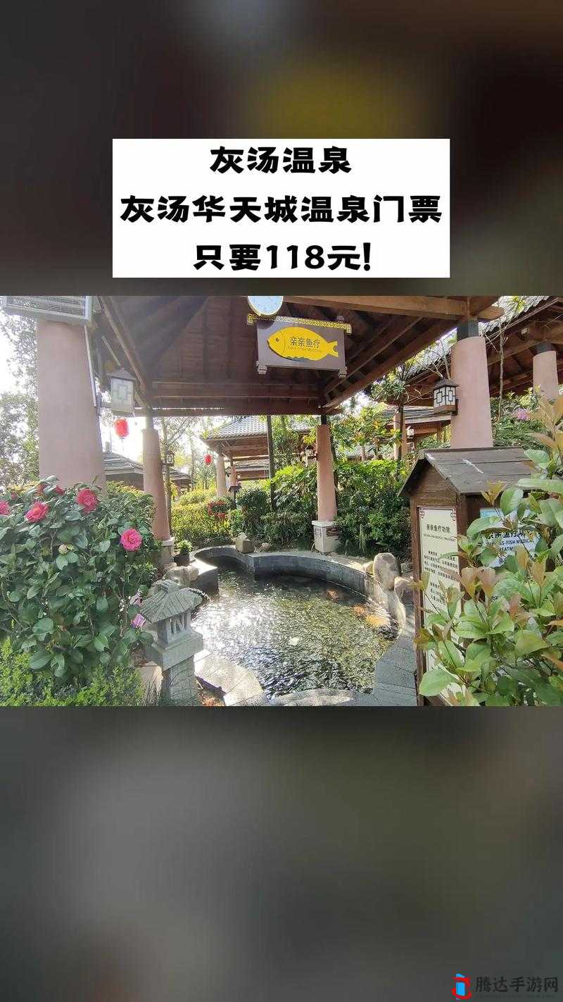 はるとゆき温泉旅馆优惠信息:限时折扣与超值套餐等您来