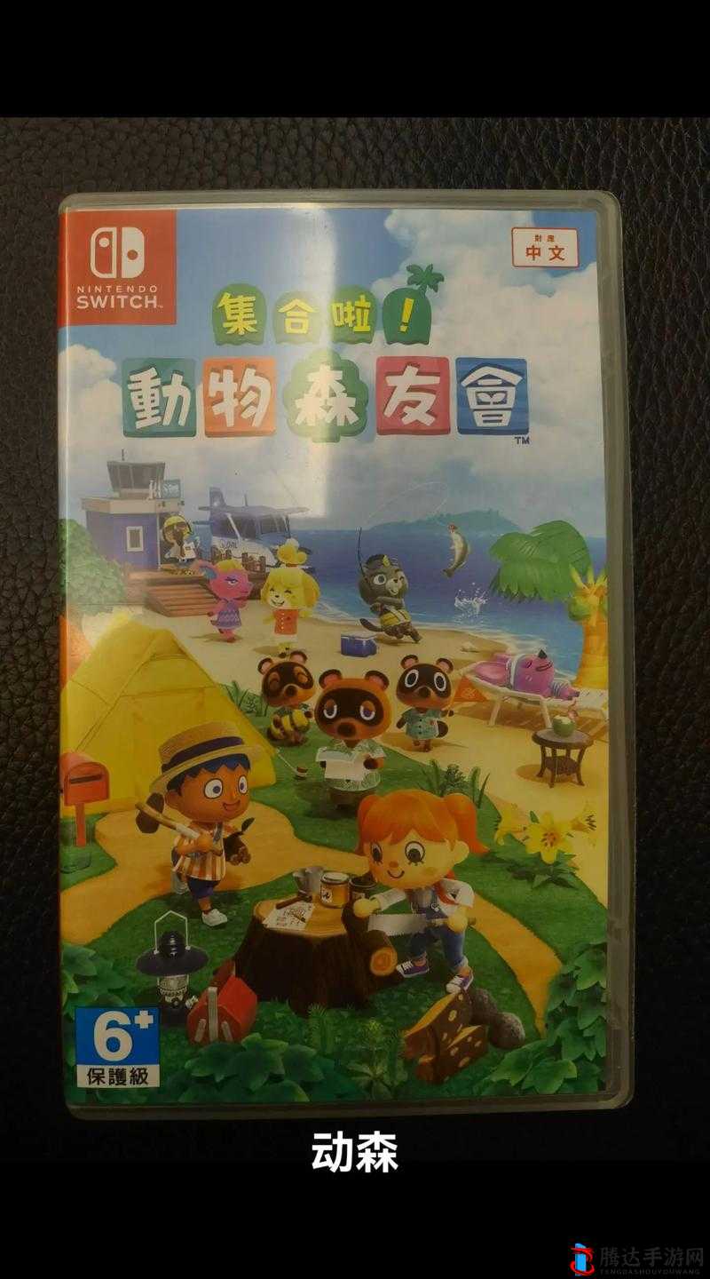 集合啦动物森友会斧头怎么做,NS动物之森简陋斧头制作方法详解
