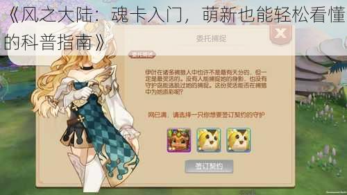 《风之大陆:魂卡入门,萌新也能轻松看懂的科普指南》