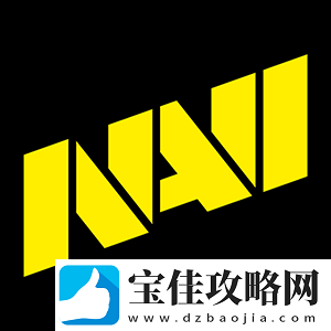 HLTV颁奖典礼：年度全明星队伍