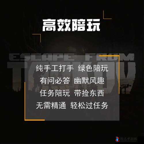 逃离塔科夫,六级甲中的佼佼者,实用之选大揭秘