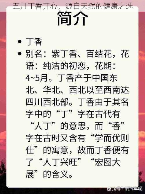 五月丁香开心,源自天然的健康之选