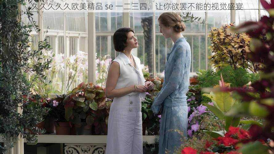 久久久久久欧美精品 se 一二三四,让你欲罢不能的视觉盛宴