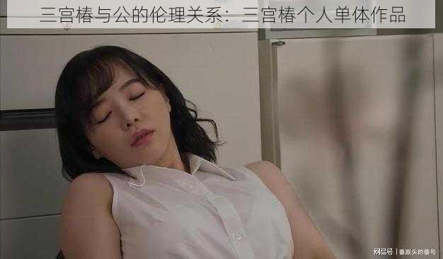 三宫椿与公的伦理关系:三宫椿个人单体作品