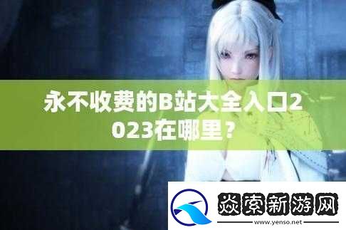 b-站大全永不收费-2023-入口在哪里详解