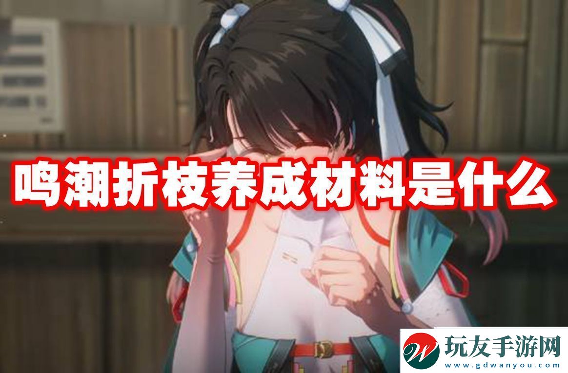 鸣潮折枝养成材料是什么