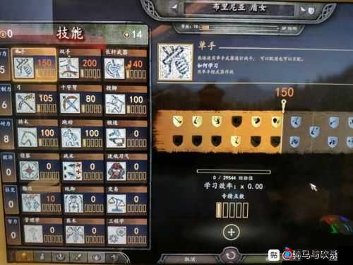 骑马与砍杀2队友怎么培养,NPC队友培养心得分享