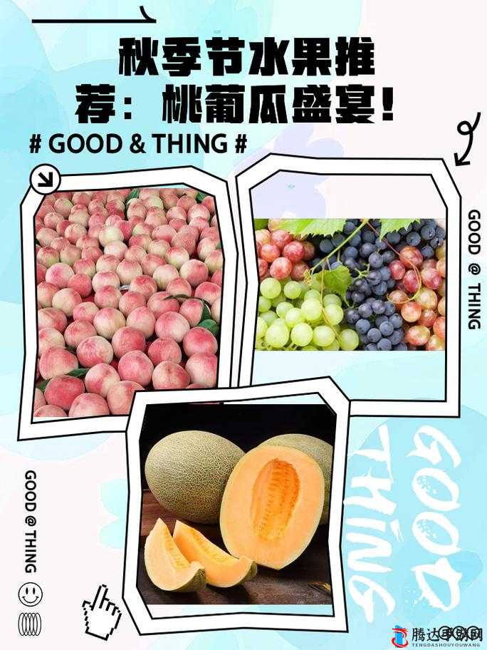 榴莲香蕉苹果哈密瓜水蜜桃全集发布:丰富水果的精彩盛宴