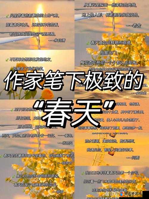 又欲又撩的里面有个mua 的歌：带你感受极致的浪漫旋律