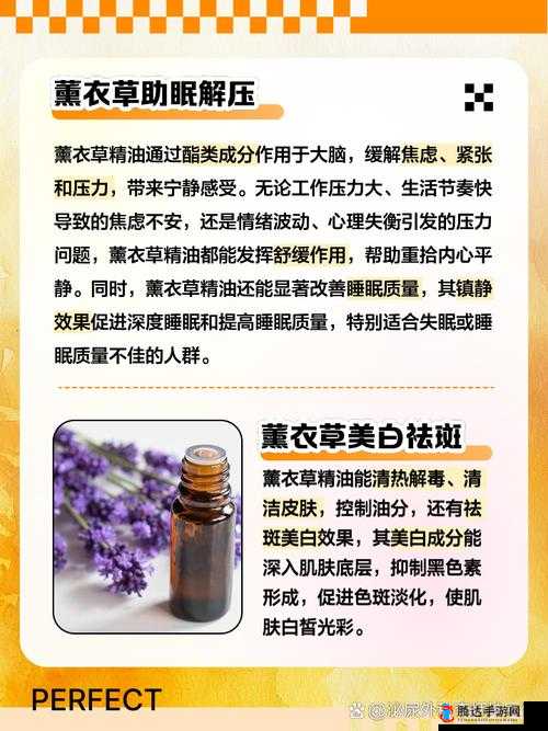 薰衣草实验室研究所关于薰衣草的深度研究与创新发展之路