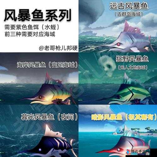 盗贼之海怎么钓鱼,游戏钓鱼心得分享