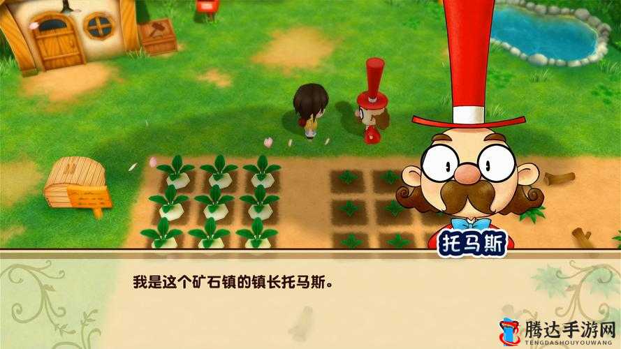 在牧场物语,重聚矿石镇中,与珍妮弗结婚是一个复杂但充满乐趣的过程,它涉及多个阶段和事件。以下是如何与珍妮弗结婚以及珍妮弗爱情事件的详细玩法介绍。