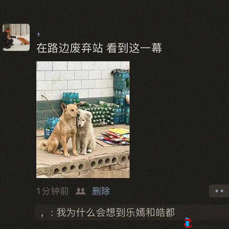 落难公主与民间糙汉猎户:撩拨出别样情感纠葛