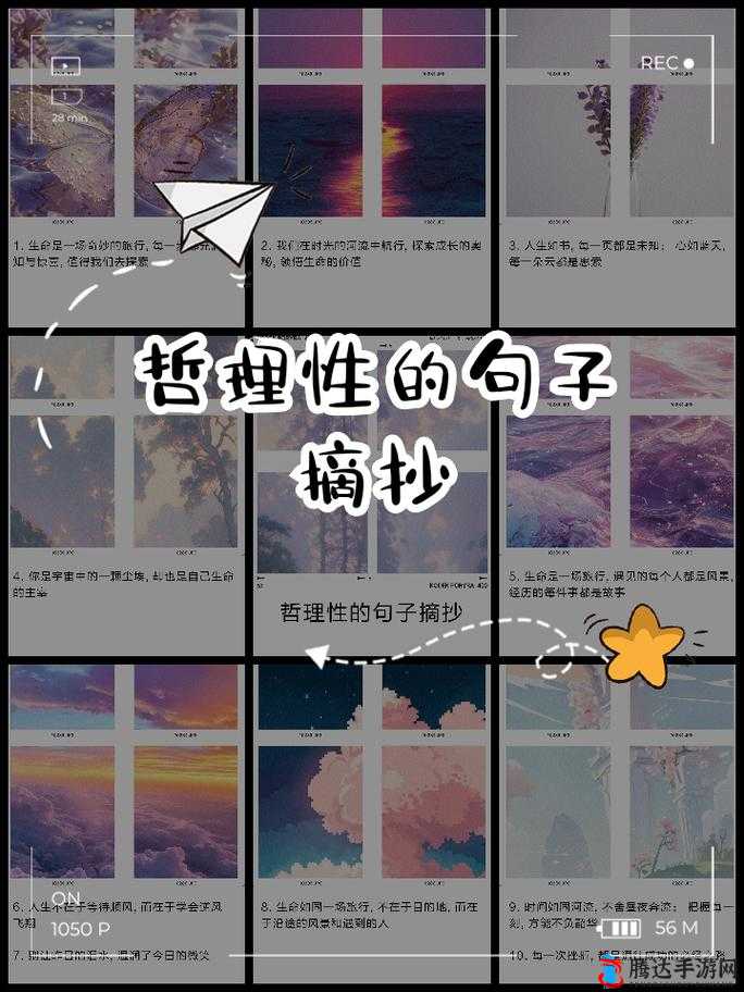 存活的方法是挨 CNP :探索这背后的深刻哲理与启示