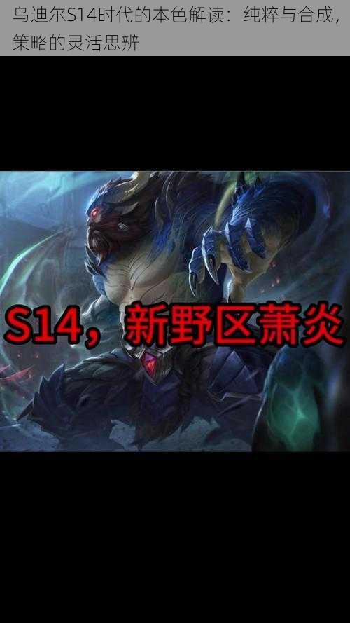乌迪尔S14时代的本色解读:纯粹与合成,策略的灵活思辨