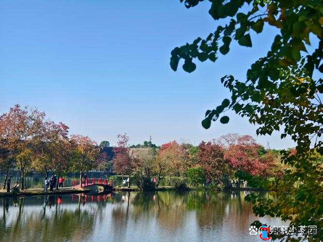 天空商人植物园怎么修复,全面修复植物园方法介绍