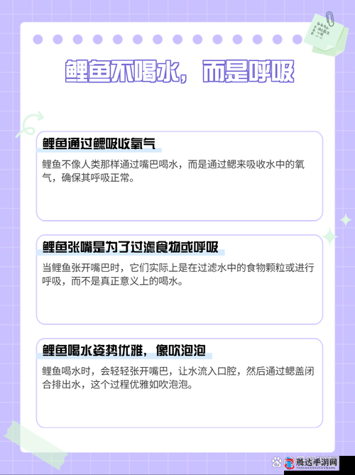 女人绝技鲤鱼喝水:其神奇之处与背后的故事