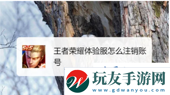 王者荣耀体验服怎么注销-王者荣耀体验服怎么注销账号