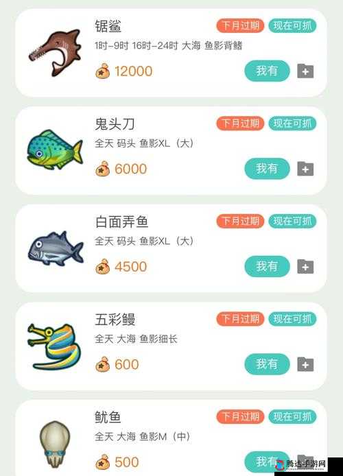 动物森友会南北半球怎么选?半球选择心得分享