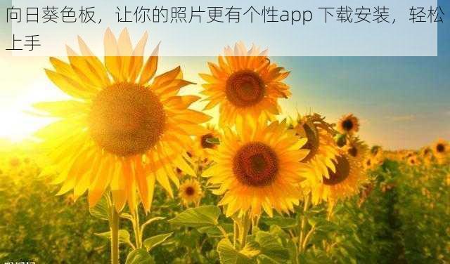 向日葵色板,让你的照片更有个性app 下载安装,轻松上手