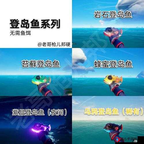盗贼之海怎么钓鱼,详细钓鱼技巧介绍
