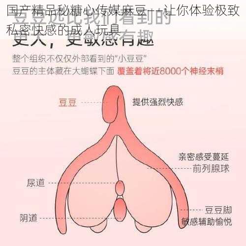国产精品秘糖心传媒麻豆——让你体验极致私密快感的成人玩具