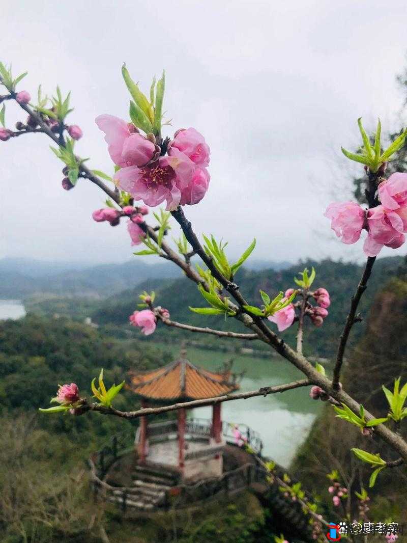 一处桃源千人品,两片红唇引万客来