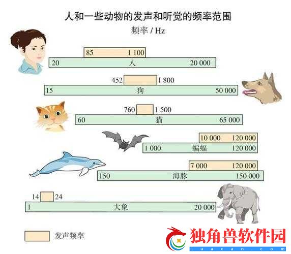 人和物动物交互在钱中的作用：探讨与分析
