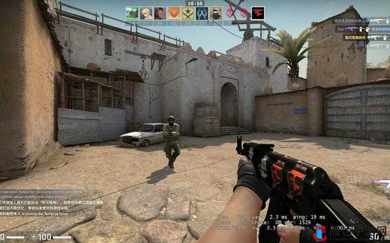 55 岁大妈沉迷 CS-GO 背后的别样人生故事