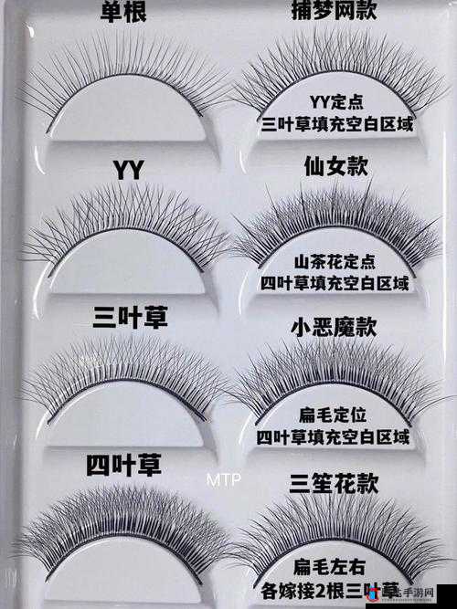 成品人和精品人的区别四叶草改变产品:深入探究其内在差异与变革成效